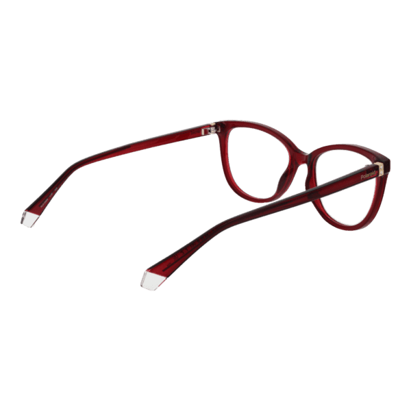 Détails branches – lunette Polaroid PLD D504 53LHF en