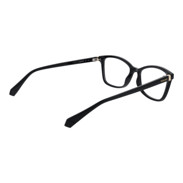 Détails branches – lunette Polaroid PLD D505 53807 en