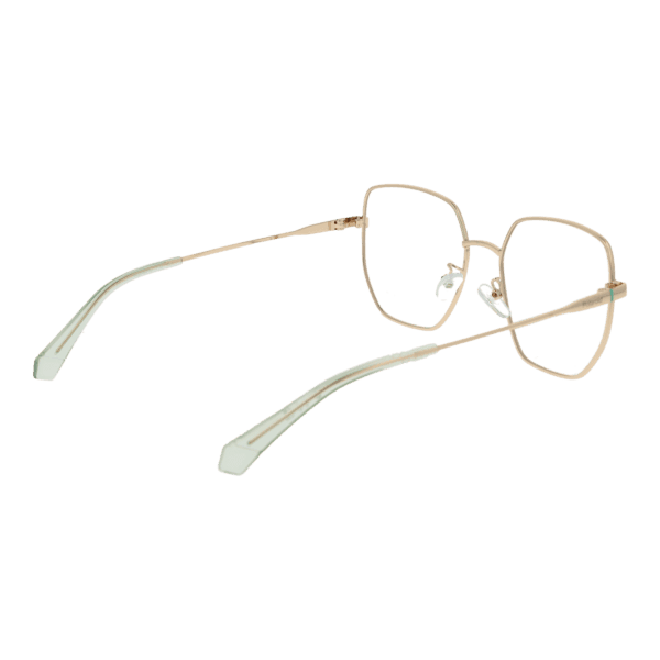 Détails branches – lunette Polaroid PLD D508/G 55J5G en