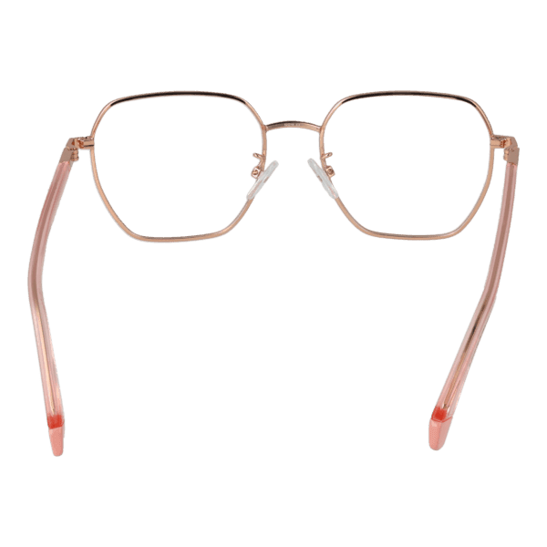 Détails branches – lunette Polaroid PLD D524/G 52DDB18 en