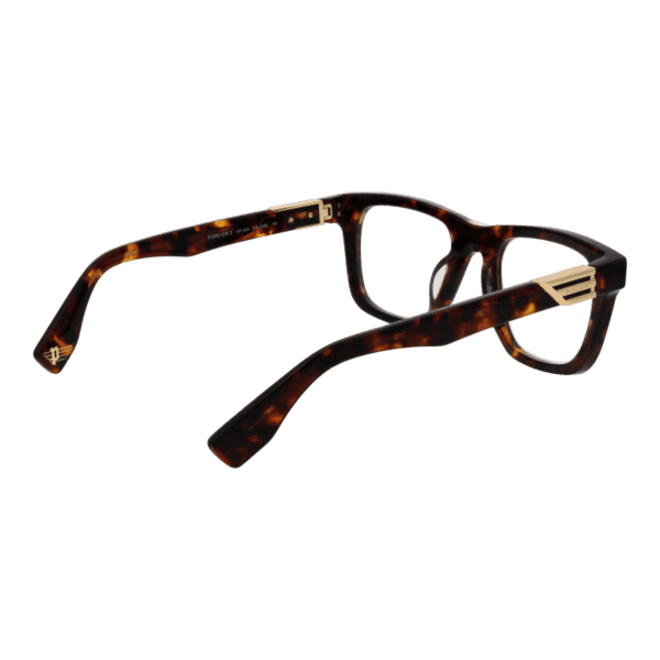 Détails branches – lunette Police VPLN29 5204BL en