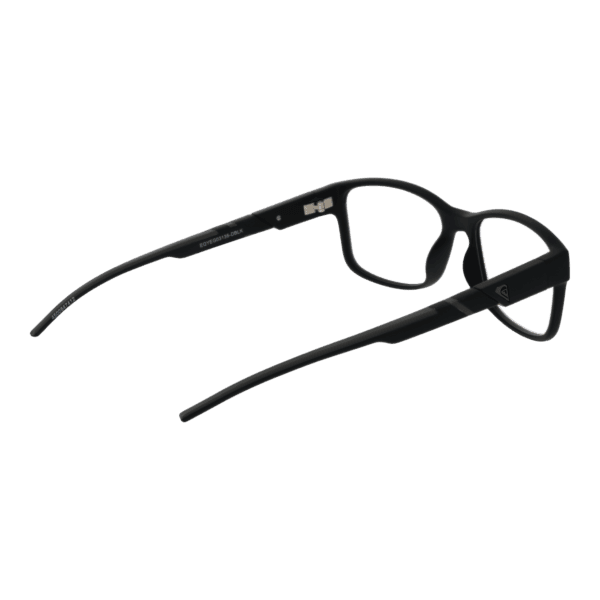 Détails branches – lunette Quiksilver EQYEG03135 DBLK en