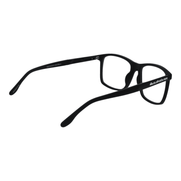 Détails branches – lunette Quiksilver EQYEG03136 DBLK en