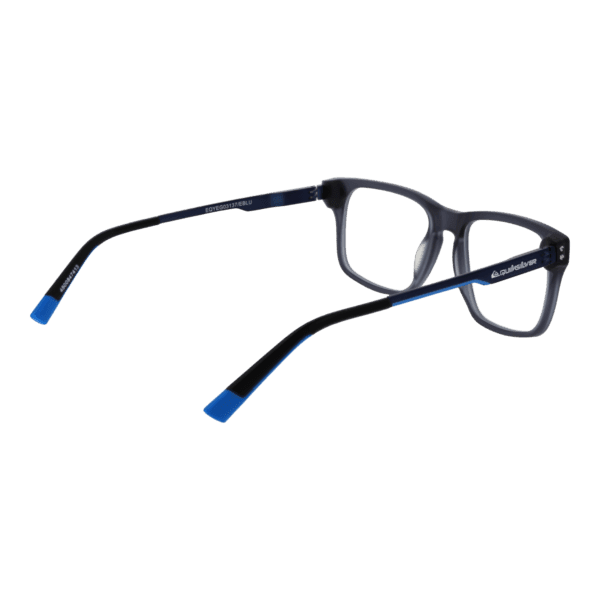 Détails branches – lunette Quiksilver EQYEG03137 EBLU en