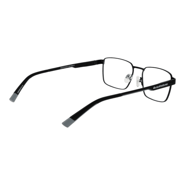 Détails branches – lunette Quiksilver EQYEG03138 DBLK en