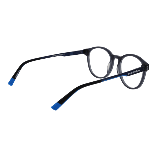 Détails branches – lunette Quiksilver EQYEG03139 EBLU en