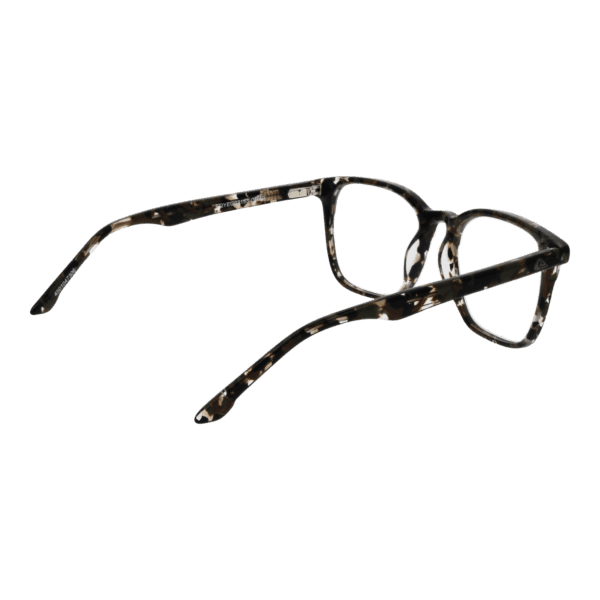 Détails branches – lunette Quiksilver EQYEG03153 GRA0 en
