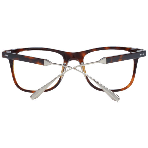 Détails branches – lunette Sandro SD1024 50201 en