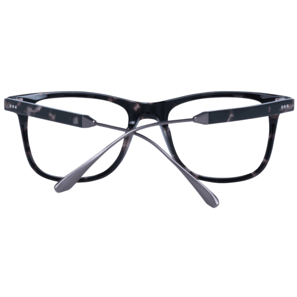 Détails branches – lunette Sandro SD1024 50207 en