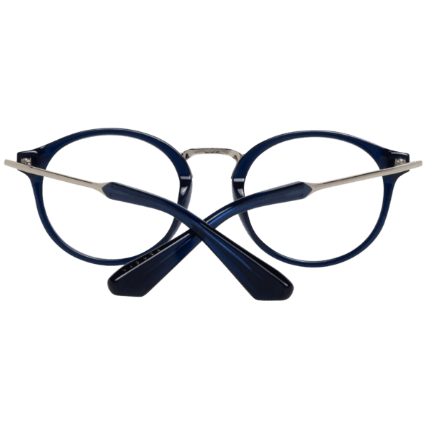 Détails branches – lunette Sandro SD2010 49004 en