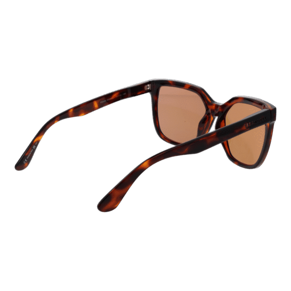 Vue arrière – Serengeti SS536004 Wakota : monture