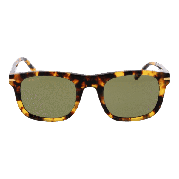 Serengeti SS576005 Charlton – vue de face avec monture  et verres