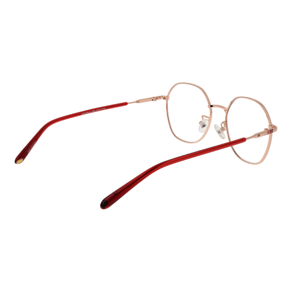 Détails branches – lunette Skechers SE2196-D 50069 en