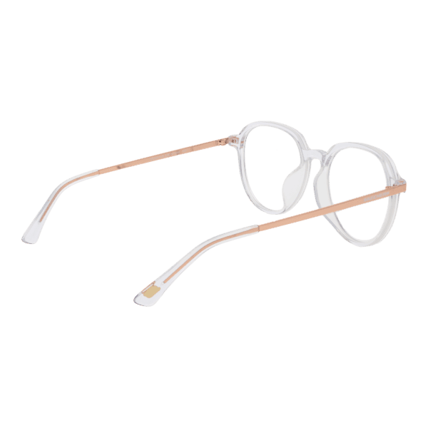 Détails branches – lunette Skechers SE50019-D 54026 en