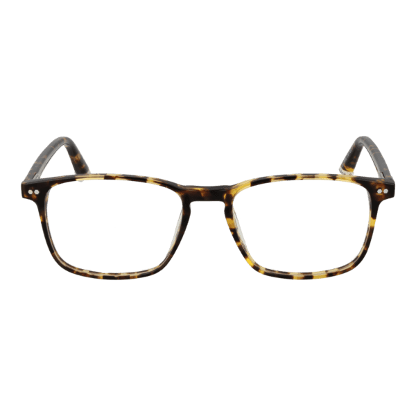 Face avant – monture optique Taylor Morris SW16 52C10 en