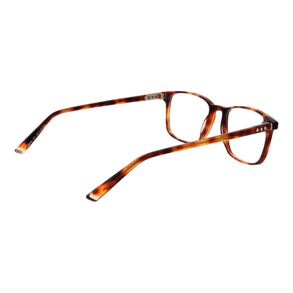 Détails branches – lunette Taylor Morris SW16 52C2 en