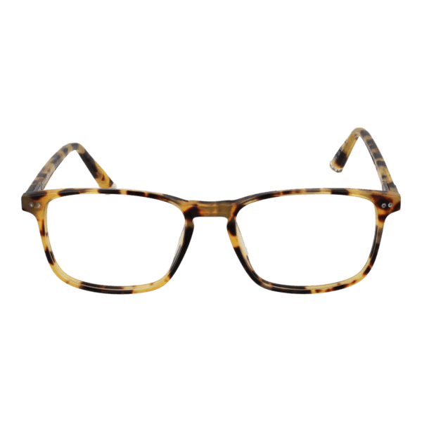 Face avant – monture optique Taylor Morris SW16 52C3 en