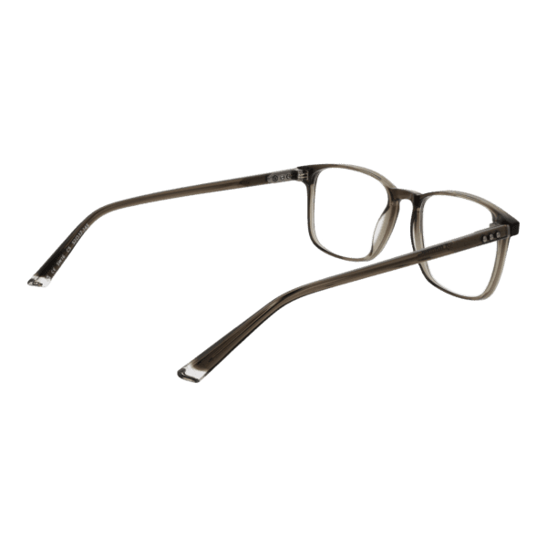 Détails branches – lunette Taylor Morris SW16 52C5 en
