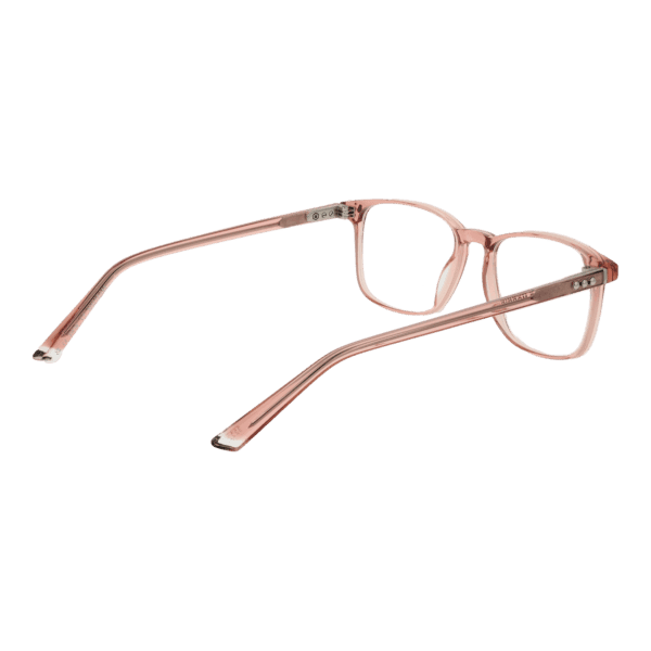 Détails branches – lunette Taylor Morris SW16 52C7 en