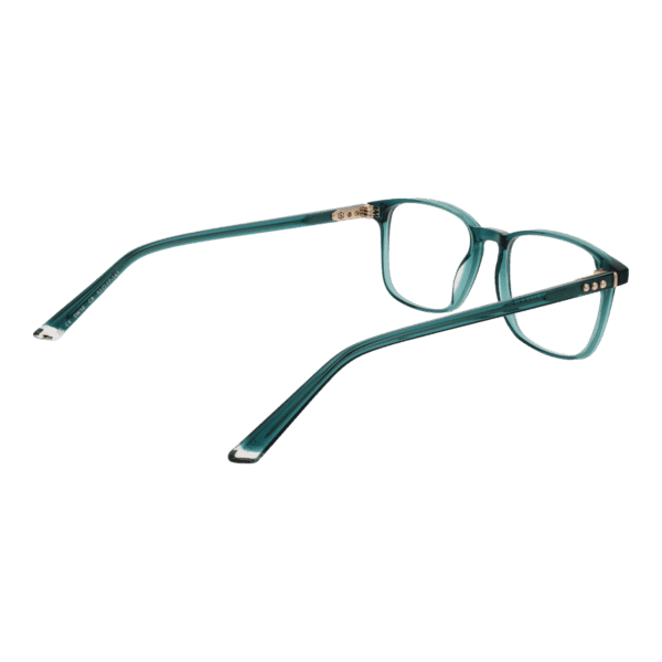 Détails branches – lunette Taylor Morris SW16 52C8 en