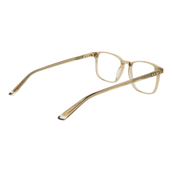 Détails branches – lunette Taylor Morris SW16 52C9 en