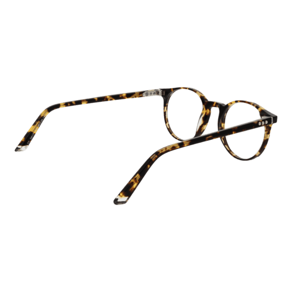 Détails branches – lunette Taylor Morris SW17 48C10 en