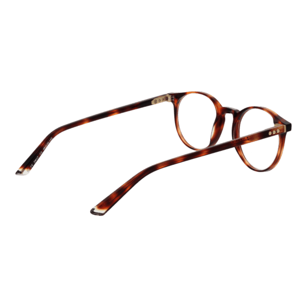 Détails branches – lunette Taylor Morris SW17 48C2 en