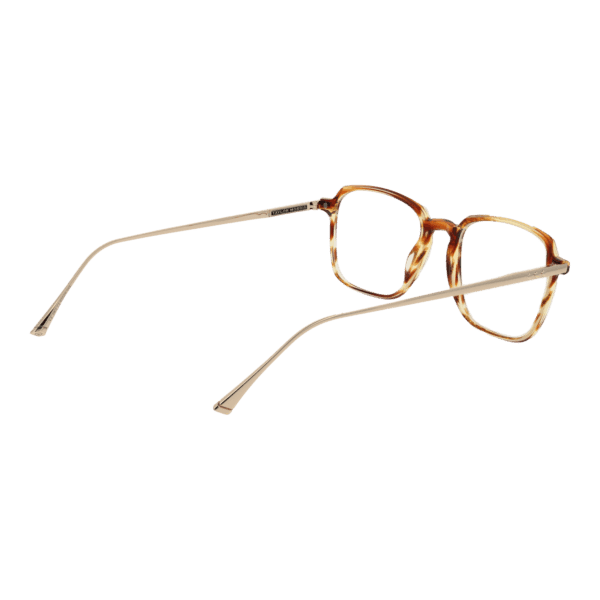 Détails branches – lunette Taylor Morris SW3 53C2 en