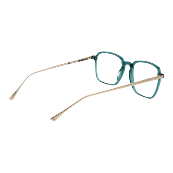 Détails branches – lunette Taylor Morris SW3 53C6 en