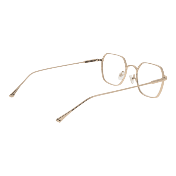 Détails branches – lunette Taylor Morris TM02 48C2 en