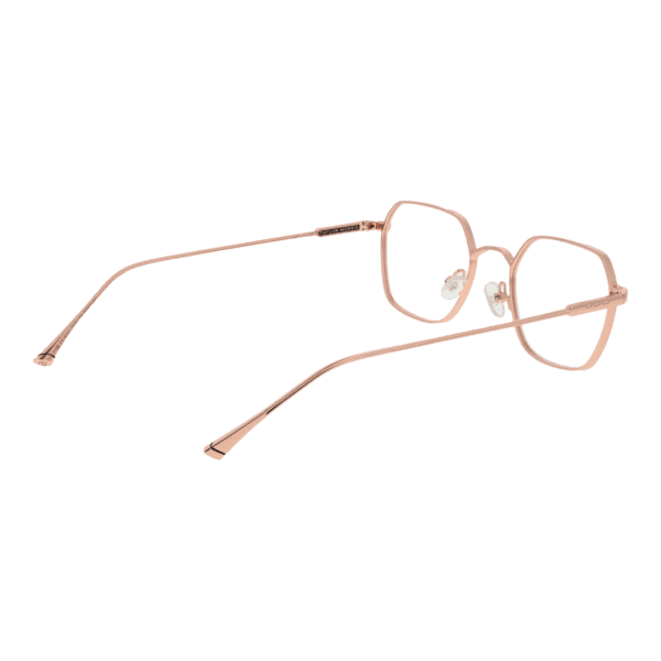 Détails branches – lunette Taylor Morris TM02 48C4 en