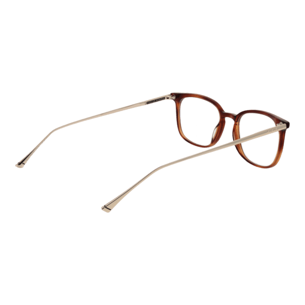 Détails branches – lunette Taylor Morris TM06 49C2 en