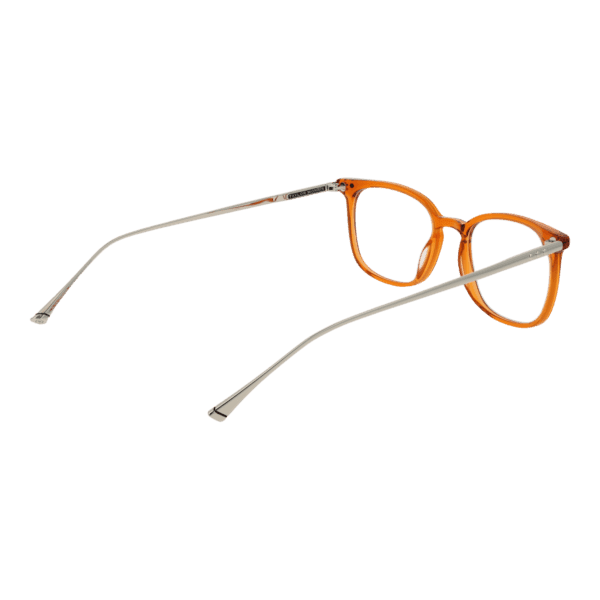 Détails branches – lunette Taylor Morris TM06 49C3 en