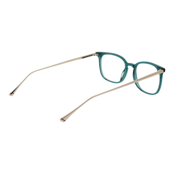 Détails branches – lunette Taylor Morris TM06 49C4 en