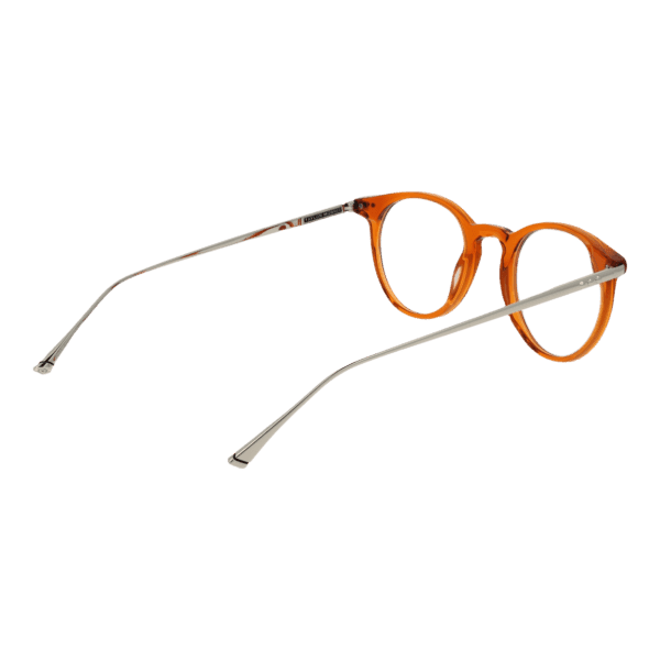 Détails branches – lunette Taylor Morris TM07 47C3 en