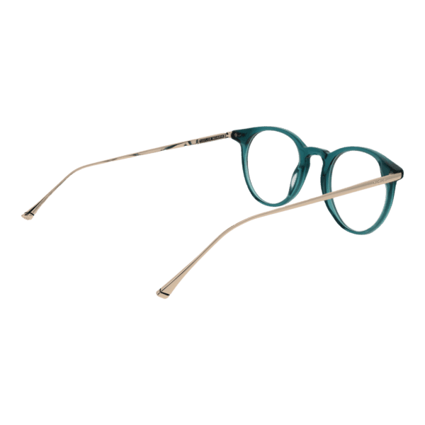 Détails branches – lunette Taylor Morris TM07 47C4 en