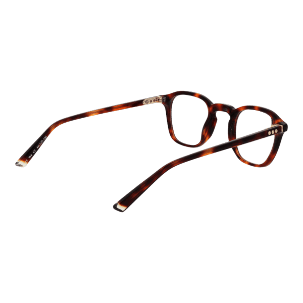 Détails branches – lunette Taylor Morris W4 44C2 en