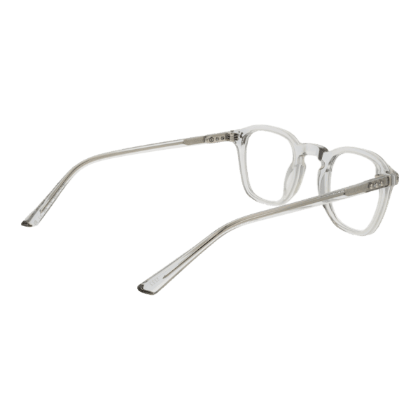 Détails branches – lunette Taylor Morris W4 44C4 en
