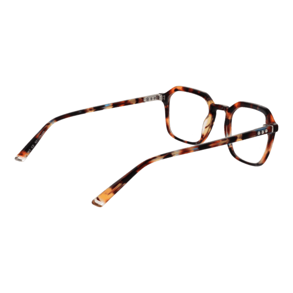 Détails branches – lunette Taylor Morris W5 0C2 en