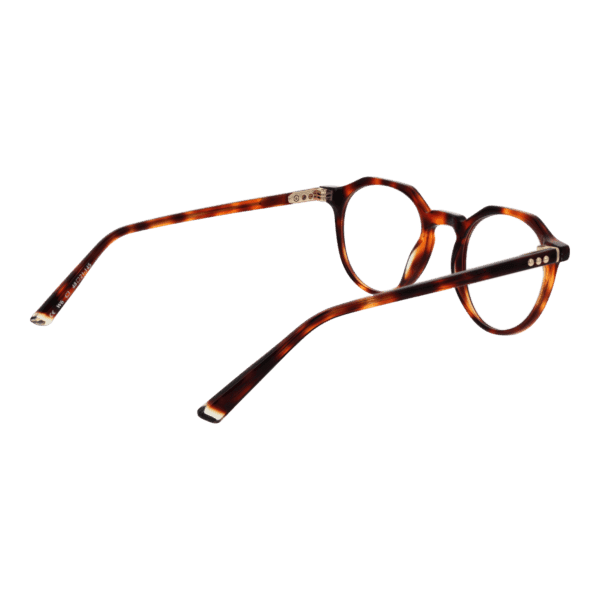 Détails branches – lunette Taylor Morris W6 48C3 en