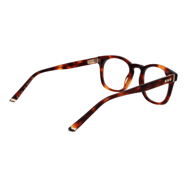 Détails branches – lunette Taylor Morris W8 49C3 en