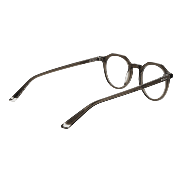 Détails branches – lunette Taylor Morris w6 48C5 en