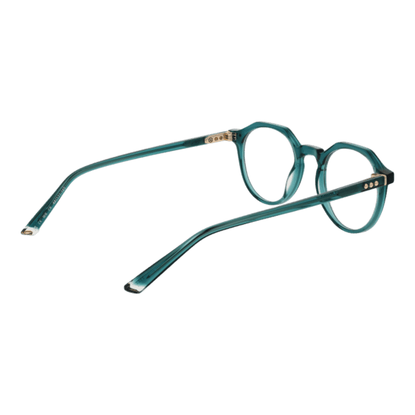 Détails branches – lunette Taylor Morris w6 48C6 en