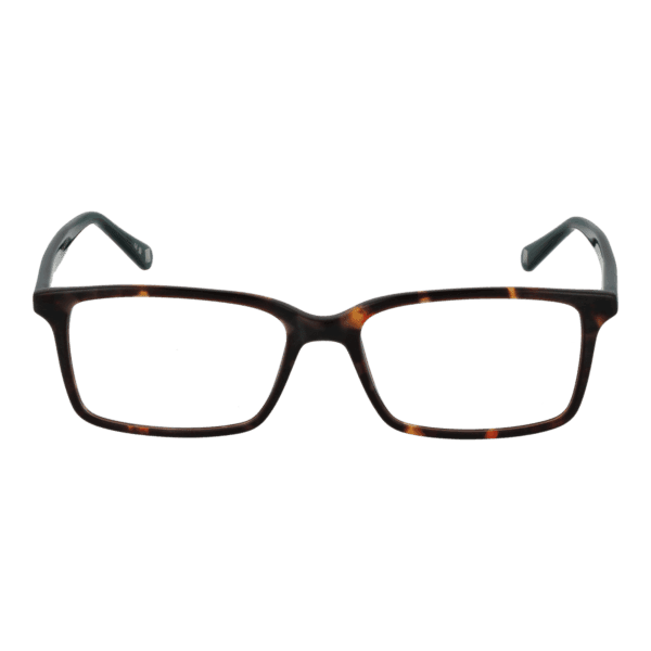 Face avant – monture optique Ted Baker TB8118 52145 en