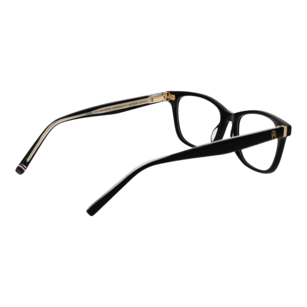 Détails branches – lunette Tommy Hilfiger TH 2162 52807 en