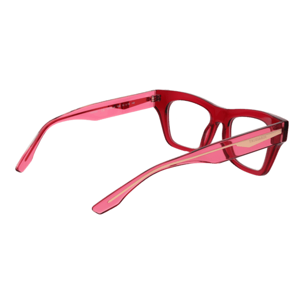 Détails branches – lunette Trussardi TSW6044 51T03 en