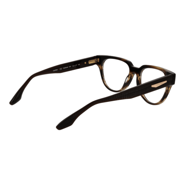 Détails branches – lunette Trussardi TSW6046 53E01 en