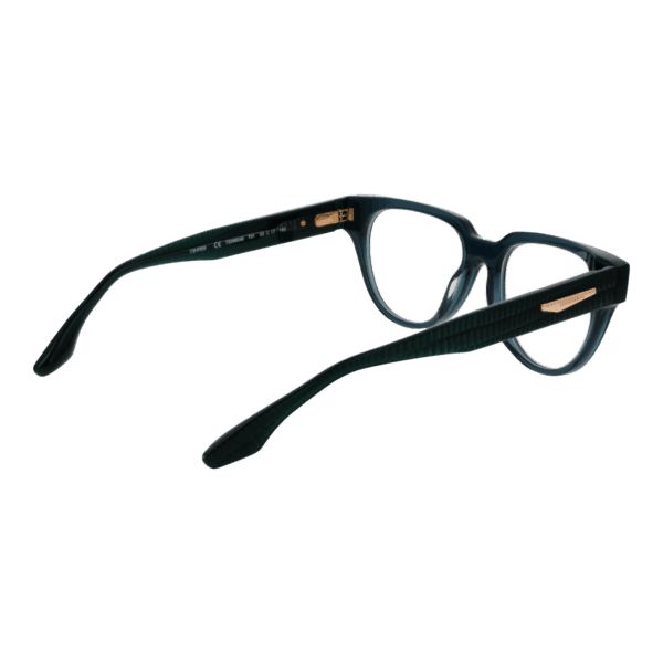 Détails branches – lunette Trussardi TSW6046 53T01 en