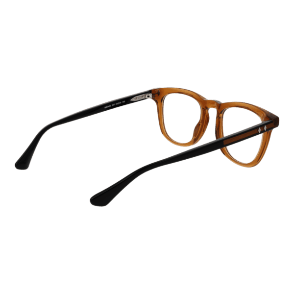 Détails branches – lunette Web WE5400 49047 en