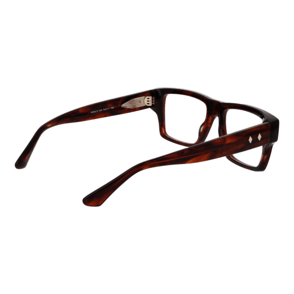 Détails branches – lunette Web WE5415 54045 en